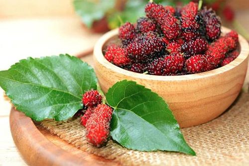 Đánh giá hiệu quả của enzyme pectinase đến quá trình thu hồi dịch nho - dâu tằm