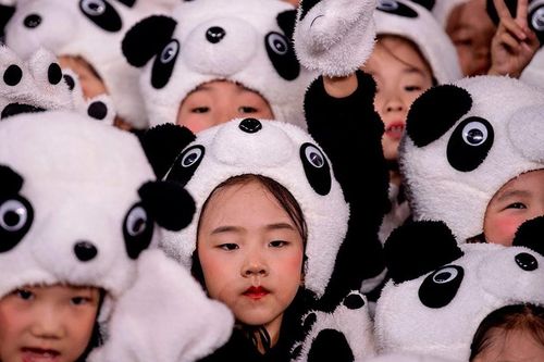 Cha mẹ Trung Quốc từ chối đẻ vì cạn kiệt tiền bạc