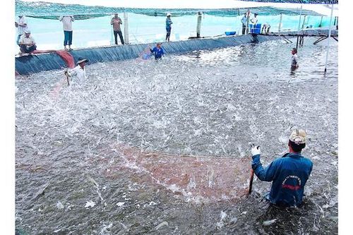 Xây dựng tỉnh Cà Mau phát triển nhanh, bền vững