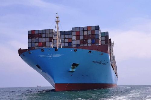 'Siêu tàu' Margrethe Maersk cập cảng Cái Mép - Thị Vải