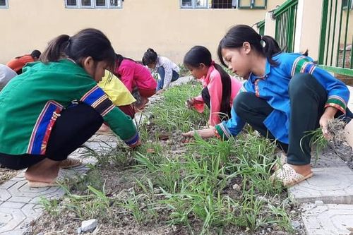 Lào Cai: Tuyên truyền bảo vệ rừng cho hơn 300 HS