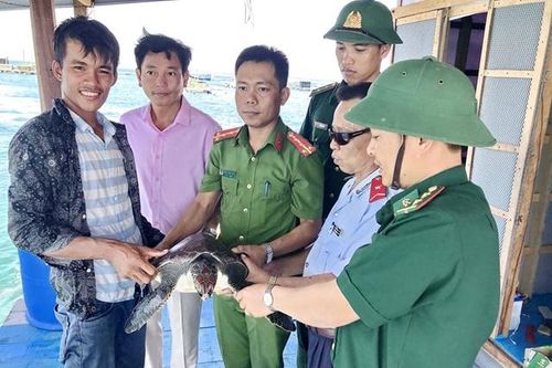 Hơn 500 động vật hoang dã được giải cứu