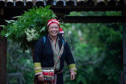 Vị giọt mồ hôi và những giấc mơ hóa thực