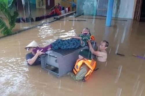 Miền Trung tả tơi sau bão lũ: Bò mắc cột điện, trâu trèo mái nhà