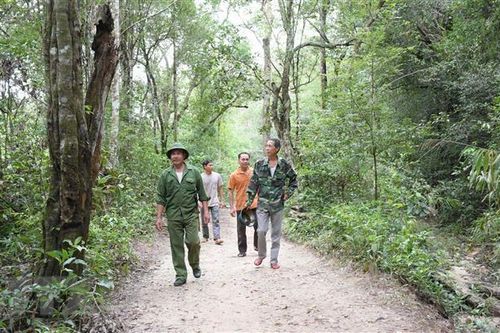 Gia Lai: Cảm hóa lâm tặc thành người bảo vệ rừng đắc lực