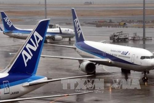Tập đoàn ANA Holdings có kế hoạch cắt giảm 3.500 việc làm