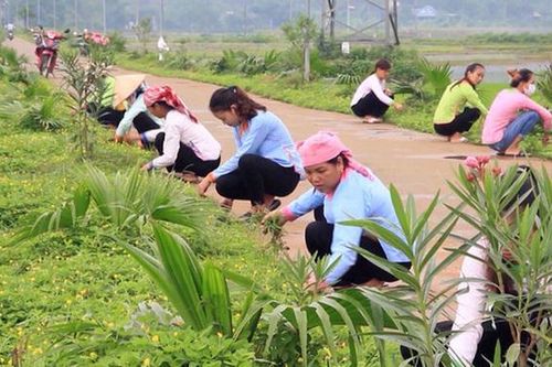 Phụ nữ Lào Cai đẩy mạnh tham gia xây dựng Nông thôn mới