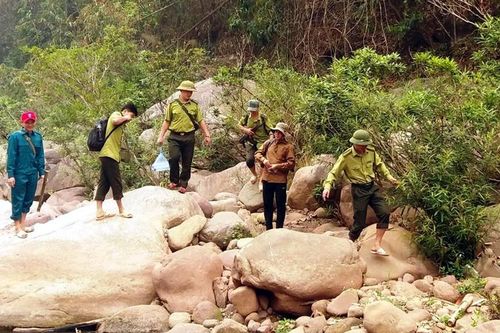 Phát huy hiệu quả chính sách chi trả dịch vụ môi trường rừng