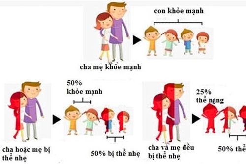 Cần quan tâm phòng ngừa bệnh Thalassemia