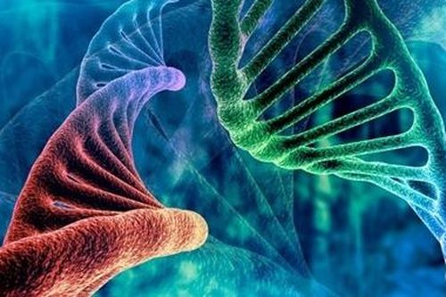 Có một loại ADN không code