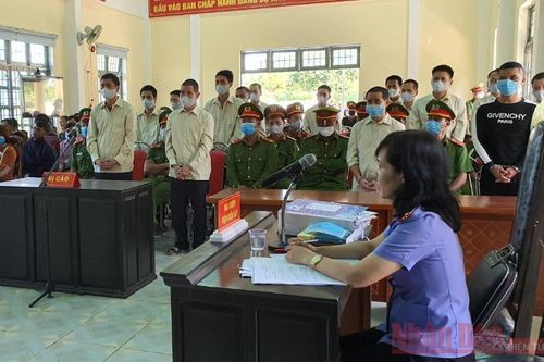 Phạt tù nhóm khai thác gỗ trái phép ở Kon Tum