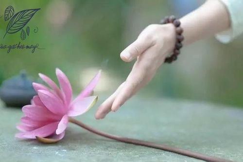 Chỉ khi bỏ được điều này bạn mới có thể sống thanh thản