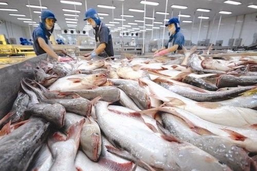Chính sách tỷ giá của Việt Nam không nhằm tạo lợi thế cạnh tranh thương mại quốc tế