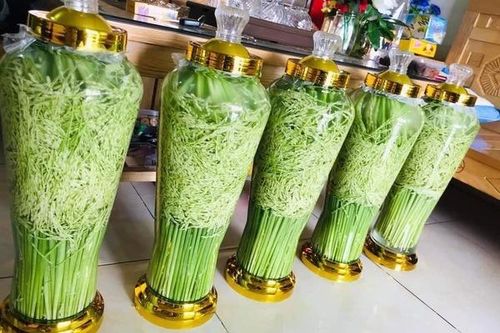 Đòng đòng lúa nếp đắt giá, hàng lạ hút quý ông làm quà hưởng Tết