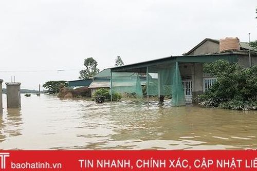 Thạch Hà ước thiệt hại hơn 850 tỷ đồng sau mưa lũ