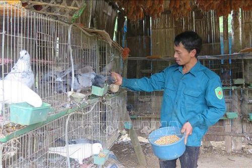 Chú trọng phát triển đảng viên người dân tộc thiểu số ở vùng cao Lai Châu