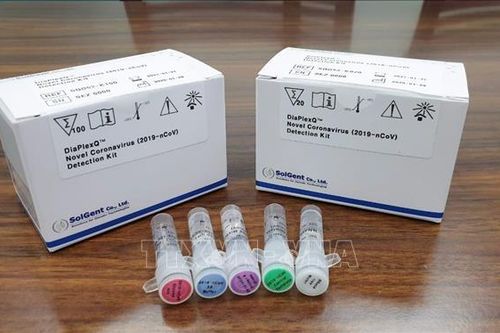 Mỹ phê duyệt bộ xét nghiệm nhanh COVID-19 của Hàn Quốc