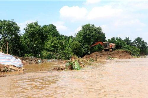 Nỗ lực khắc phục sạt lở đê bao tại cồn Thanh Long, Vĩnh Long