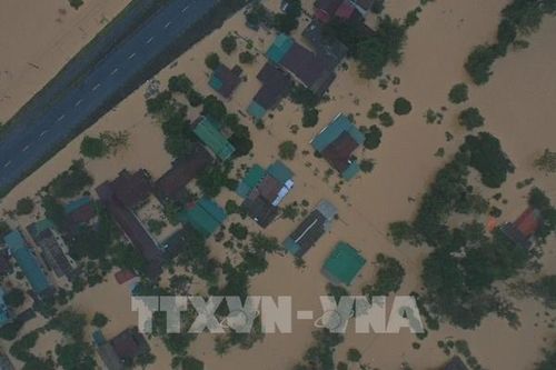 Chuẩn bị đủ lượng và chủng loại để sẵn sàng gieo trồng lại sau lũ