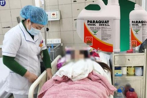Đâu là 'thời điểm vàng' trong cấp cứu người ngộ độc thuốc diệt cỏ?