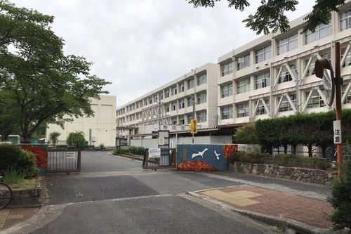 Nhật Bản: Các trường học vất vả tổ chức hội thao cho học sinh trong mùa Covid-19