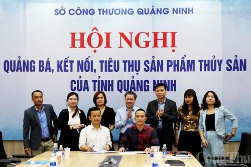 Quảng Ninh: Kết nối, đưa sản phẩm OCOP và thủy sản vào hệ thống siêu thị
