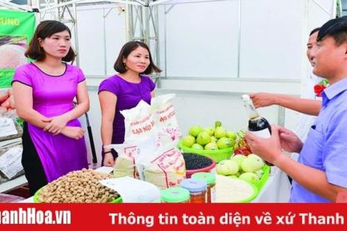 Dấu ấn từ các nghị quyết chuyên đề