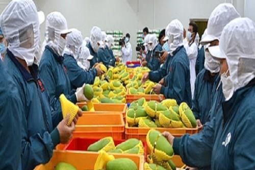 Nông sản Việt Nam và 'cơ hội vàng' tiến vào EU