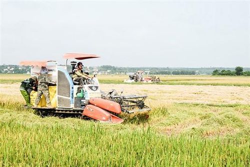 Vĩnh Linh đẩy mạnh cơ giới hóa trong sản xuất nông nghiệp