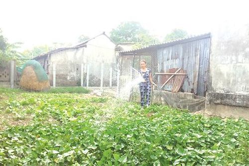 Nỗ lực với công tác hội
