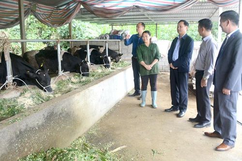 Lãnh đạo UBND tỉnh kiểm tra tiến độ xây dựng nông thôn mới tại huyện Chiêm Hóa