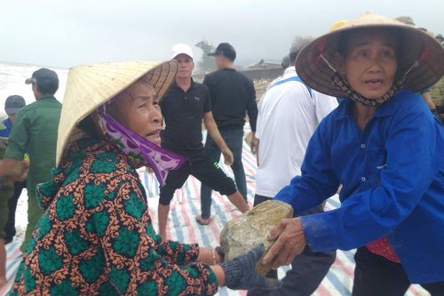 Người Hà Tĩnh dầm mưa cứu kè biển trước khi bão 'mạnh nhất từ đầu năm' đổ bộ