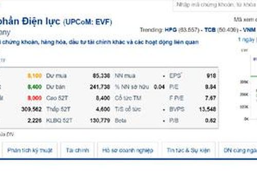 Tập đoàn Điện lực Việt Nam bán hết 2,65 triệu cổ phần