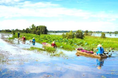 Nhiều hoạt động hút khách du lịch dịp cuối năm