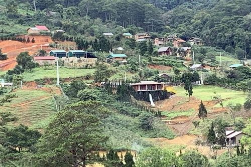 Lâm Đồng: Xây 'chui' cả ngôi làng trên đất lâm nghiệp