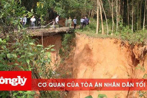 Bình Định: Không để 1 ai ở vùng nguy hiểm trước khi bão số 9 đổ bộ