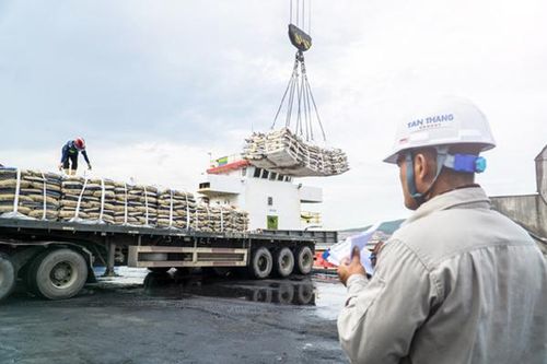 Dấu ấn sau những chuyến hàng xuất ngoại của Xi măng Tân Thắng