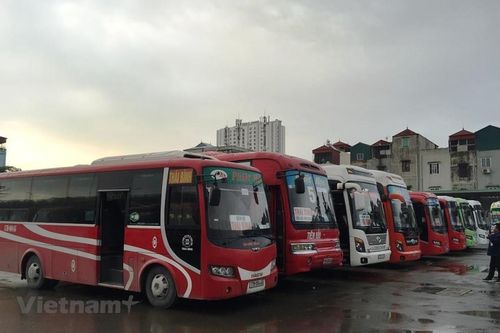 Không tổ chức chạy xe kinh doanh vận tải khu vực bão số 9 đổ bộ