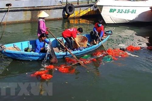 Clip bằng tiếng Anh đạt giải Nhất cuộc thi sáng tạo 'Vì một Việt Nam xanh'