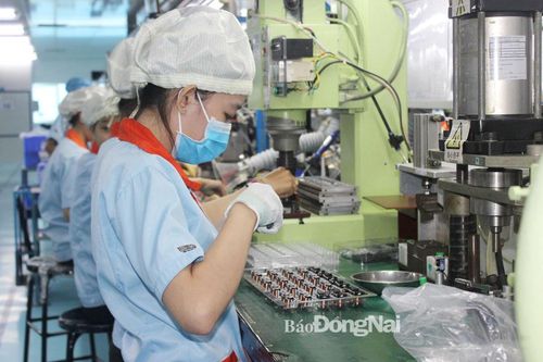 ''Cửa'' đã mở, doanh nghiệp cần mạnh dạn vào