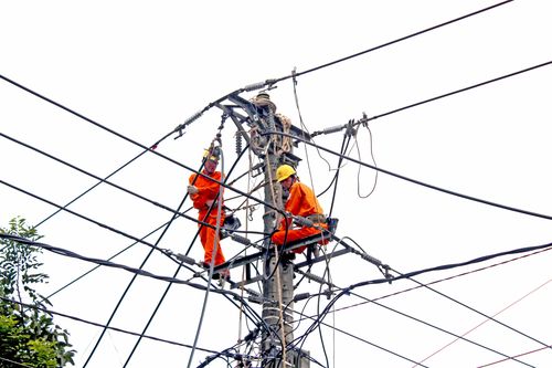 Công ty Điện lực Gia Lai gấp rút chuẩn bị ứng phó bão số 9