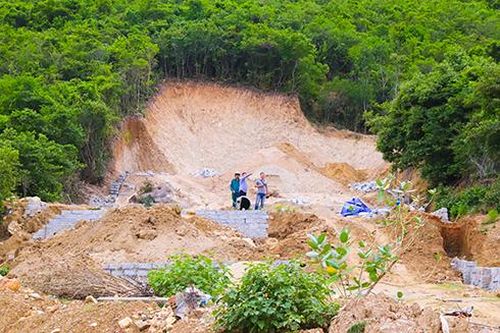 Ngăn chặn trường hợp khoét núi, làm móng trên đất rừng