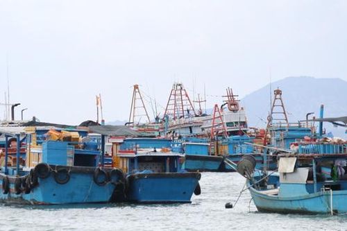 Cam Ranh: Lao động làm việc trên 34.000 lồng bè không vào bờ sẽ bị cưỡng chế
