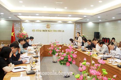 Ban Văn hóa – Xã hội HĐND tỉnh: Thẩm tra các nội dung trình Kỳ họp chuyên đề lần thứ 5, HĐND tỉnh