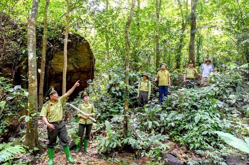 Tuyên Quang phát triển nền kinh tế xanh