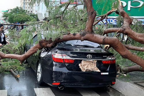 5 điều cần làm ngay với ô tô trước khi bão đến