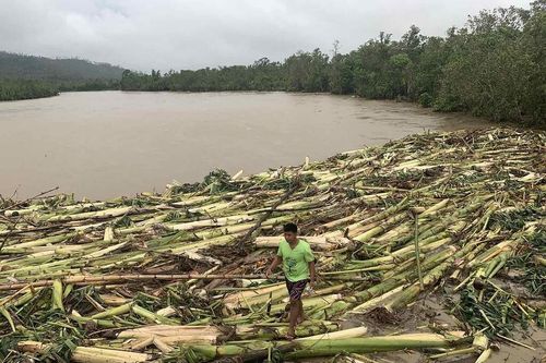 Bão Molave đổ bộ Philippines, tàn phá nhiều nhà cửa, hoa màu