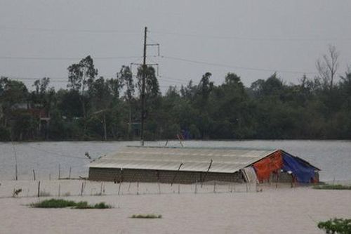 Khẩn trương hoàn thành việc sơ tán hơn 400.000 người dân trong vùng nguy hiểm của bão số 9 trước 19h tối nay