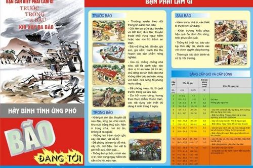 Hướng dẫn phòng chống bão, lũ khẩn cấp
