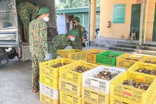 Bắt giữ 2 vụ vận chuyển gà, vịt giống trái phép